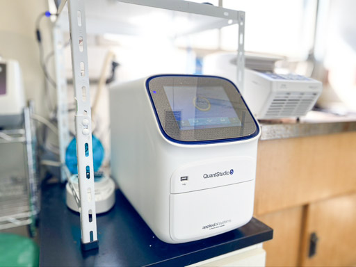 QuantStudio5　Thermo Fisher Scientific